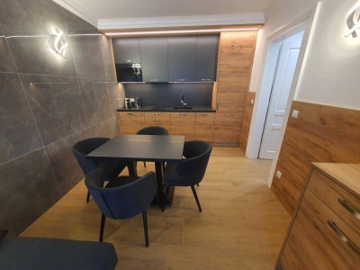 Top sanierte &amp; neu möblierte Wohnung mit Terrasse und großem Garten