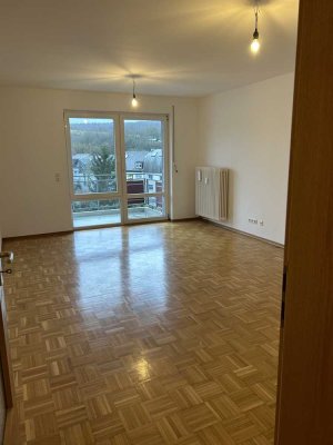 wunderschöne 2-ZKB-Wohnung mit Balkon und EBK in Trier