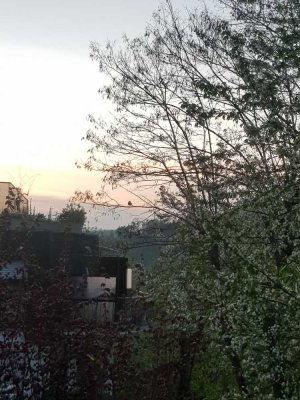 Exklusive 4-Zimmer-Wohnung mit 2 Balkonen, Terasse und EBK in Bad Schwalbach