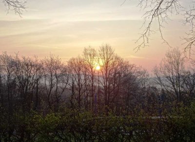 Hacienda! Paradies zum Leben & in der Natur! Urgemütlich! Pfälzer Wald; Mietkauf ggf. möglich