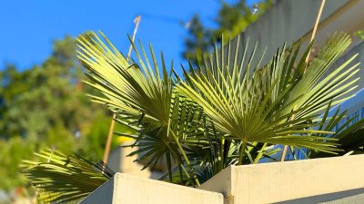 WOLFGANG SODENKAMP /// ErdgeschoßWohnung in guter Lage *PROVISIONSFREI