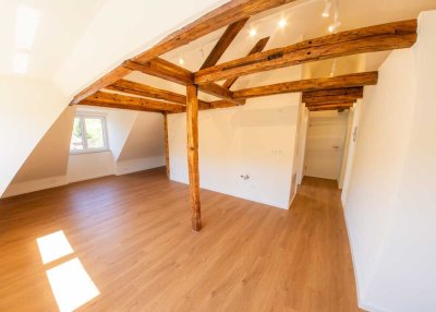 Charmante 1,5 Zimmer-Wohnung im Leistengrund - Erstbezug nach Sanierung