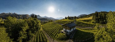 Riede Walchau - Sonnige, absolute Alleinlage