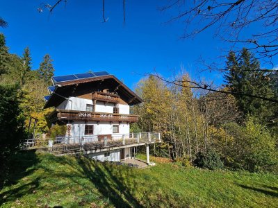 4.699m2 Grundstück mit Altbestand in Waldlichtung
