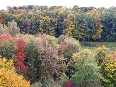 PERFEKTE LAGE FÜR NATURFREUNDE - NICHTRAUCHERWOHNUNG MIT SONNENTERRASSE