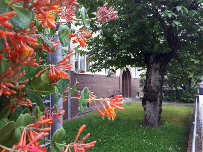 Großzügige Altbauwohnung mit Loggia & Gartenblick – ideal für Paare & junge Familien