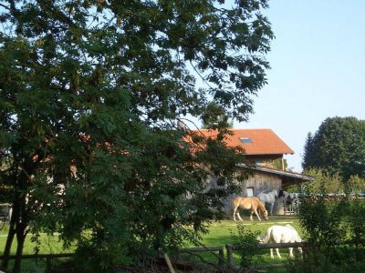 Neubau/Erstbezug  in Traumlage