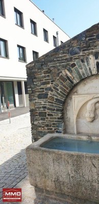 85m2 TERRASSENTRAUM * Kremser TOPLAGE; 2 Zimmer +Terr./Dachgarten; NEUBAU-Erstbezug