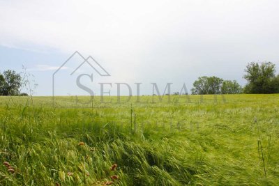 VERKAUF: Gepflegte und grüne Oase in Seefeld