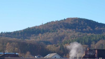 Helle 3,5- Zimmerwohnung mit großem Balkon und Tageslichtbad im Zentrum - West