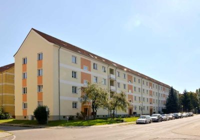 Nachmieter gesucht: großzügige 3-Raumwohnung mit Balkon