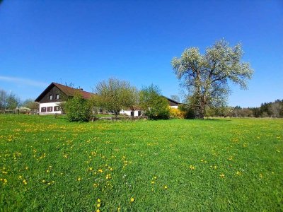 Niederbayerischer Jagd- und Reiterhof in absoluter ruhiger Top Lage