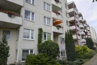 2-Raum-Wohnung frisch saniert mit Terrasse