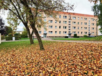 3 Zimmer Wohnung mit Balkon in Querfurt