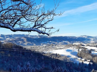 ehemaliger Gutshof mit traumhaften Blick an der südsteirischen Weinstraße