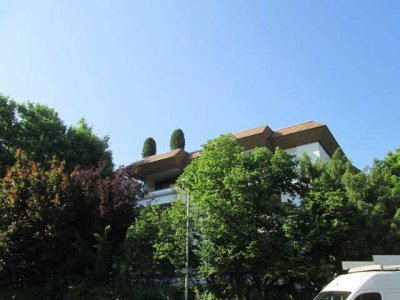 ***Lichtdurchflutetes Apartment***Renoviert***Ruhige, grüne Wohnlage und verkehrsgünstig***