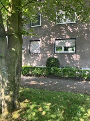 Vollständig renovierte Mietwohnung