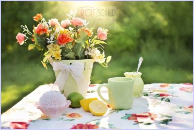 >>Traumhafte Gartenwohnung