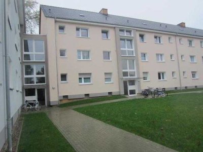 Nette Nachbarn gesucht: weitläufige 4-Zimmer-Wohnung frisch saniert