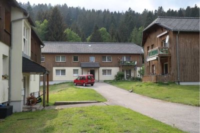 Helle geräumige Wohnungen im schön gelegenen Todtmoos/Schwarzwald