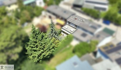 Hier wohnt noch die Fantasie – Reihenhaus wartet auf deinen Tapetenwechsel!