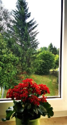 Gemütliche, sanierte 4-RW mit Garten, 2.OG