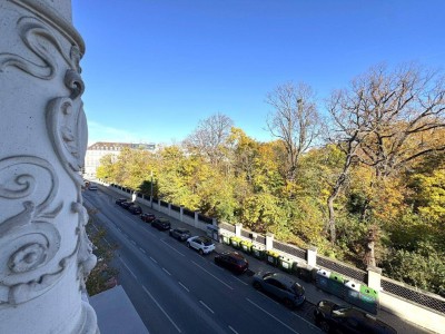 CHARMANTE 3-ZIMMER-ALTBAUWOHNUNG MIT BLICK AUF DEN LIECHTENSTEINPARK