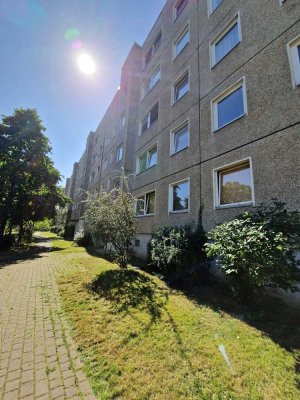 Studenten aufgepasst: WG-geeignete 3-Zimmer-Wohnung!