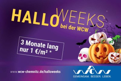 2-Raumwohnung mit Wanne und Balkon