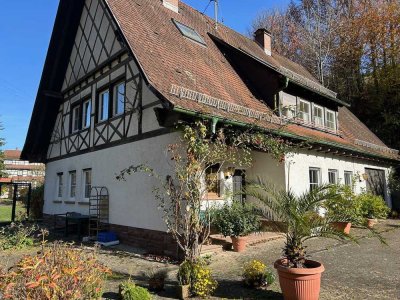 3 ZI ruhige Waldlage vollmöbliert