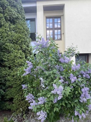 Erstbezug nach Sanierung:  4,5-Zimmer-Reihenhaus  mit gehobener Innenausstattung in Güstrow