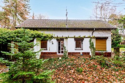 Teilkeller, Garage, Terrasse: Baugrundstück oder Einfamilienhaus mit viel Potential in Petershagen