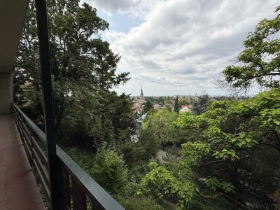 Bestlage Heidelberg Neuenheim - Fernblick - Zentral Wohnen mitten im Grünen