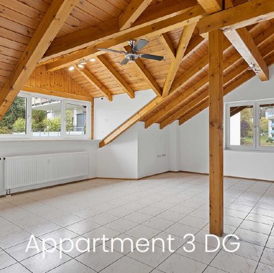 1 Zimmer Dienstwohnung 30 qm Apartment mit großem Bad und neuer Küche