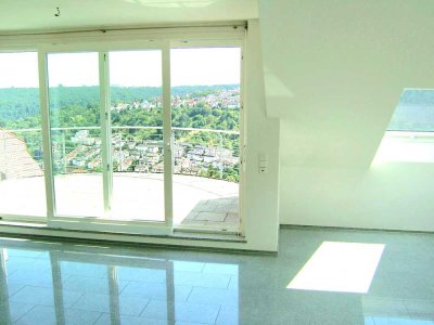 ***HELLE 3-Zimmer Wohnung mit 2 Balkonen in Stuttgart-Ost *Frauenkopf Südlage***Ausblick***
