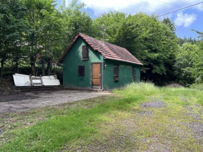 Gemütliche Hütte am Waldrand im Pfälzer Wald – ideal als Vereinsheim oder Wochenendhaus