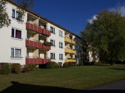 Erstbezug nach Modernisierung! 3-Zimmer-Wohnung in der Böckler-Siedlung