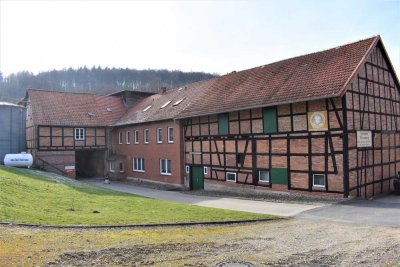Verkauf nach Gebot: Hofstelle mit reichlich Weideland/Hofladen/Cafe´ - vieles denkbar!