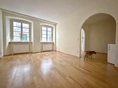 charmante Einzimmerwohnung mitten im Zentrum
