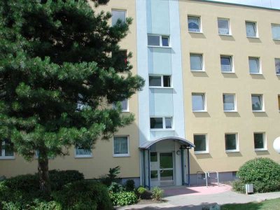 Ihre neue, renovierte 2-Zimmer-Wohnung