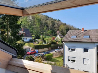 Gepflegte 1-Zimmer-DG-Wohnung mit Einbauküche in Bad Dürkheim