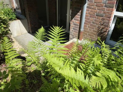 Schöne Terrassenwohnung in ruhiger Gegend