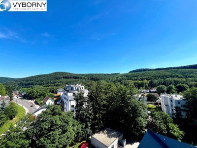 Pressbaum - toll geschnittene Familienwohnung mit großer Dachterrasse
