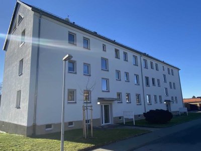Ertragreiches Mehrfamilienhaus in der Skat-und Residenzstadt Altenburg zu verkaufen