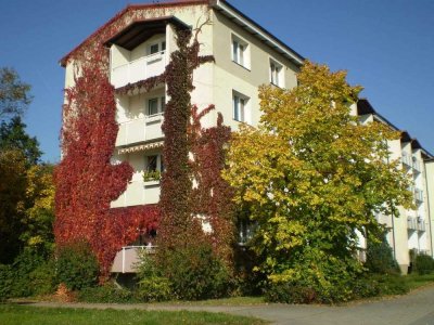 Kleine Single-Wohnung mit Einbauküche