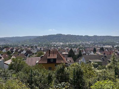 Traumhafte Aussicht in den Grunbacher Weinbergen!