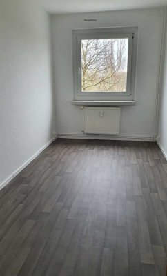 Neu sanierte 4 - Raumwohnung mit Balkon und Aufzug Am Sportpark 20, bezugsfertig ab 01.2026!