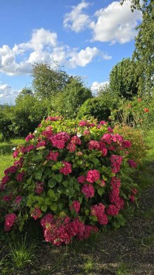 Moderne 3-ZKB-Wohnung mit großem Balkon, Gartenmitbenutzung und zentraler Lage in Riegelsberg