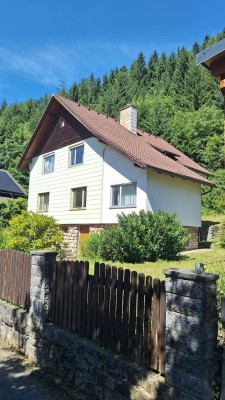 Zuhause inmitten der grünen Bergwelt – Zweifamilienhaus mit 360°-Panoramablick in Eisenerz