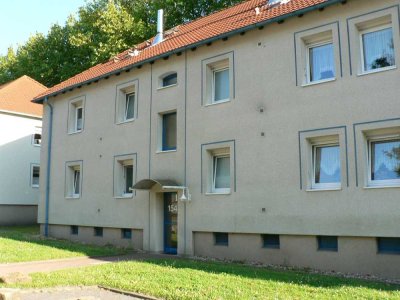 Helle 2 Zimmerwohnung mit Wohnküche